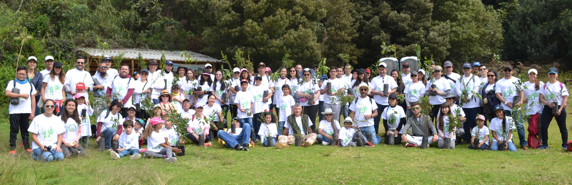 Siembra de arboles Valorem