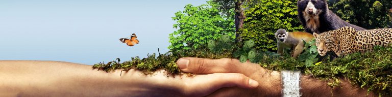 Premio Protección Medio Ambiente